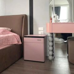 Trang chủ 226 Két Sắt Philips SBX301 màu hồng chống cháy