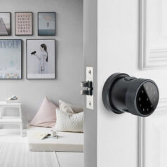 Khóa Điện Tử DSmart NT03T cho cửa tay nắm tròn 9 Khóa điện tử thông minh app TTLOCK thay thế tay nắm tròn DSmart NT03T mở cửa từ xa màu đen black