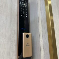 Khóa Cửa Gỗ Thông Minh Chốt Tự Động FaceID DSmart PLA02T TTLock 10 Khóa FaceId kiểu dáng Push-Pull dành cho cửa gỗ, composite đố lớn PLA02T