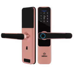 Trang chủ 126 Khóa vân tay DSmart PN09T thiết kế sang trọng cho cửa phòng