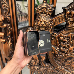 KHÓA CỬA CỔNG 2 MẶT VÂN TAY TTLOCK 2C79T CỔ ĐIỂN 5 Khóa thẻ từ mã số chống nước ngoài trời cho biệt thự