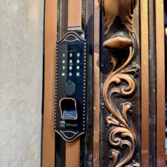 KHÓA CỬA CỔNG 2 MẶT VÂN TAY TTLOCK 2C79T CỔ ĐIỂN 6 Khóa cửa cổng nhôm đúc 2 mặt dùng cho ngoài trời