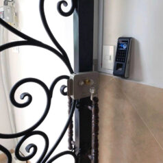 z7341004083072 ad1c2d891db737ee0c823f618999a179